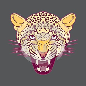 Leopard headÃ¢â¬â stock illustration Ã¢â¬â stock illustration file photo